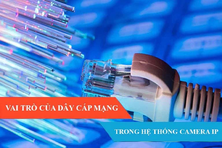 Tìm hiểu vai trò cáp mạng trong hệ thống Camera IP