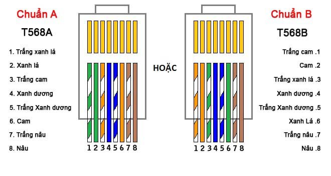 Cách bấm dây mạng 4 sợi, bấm dây mạng bằng dây điện thoại